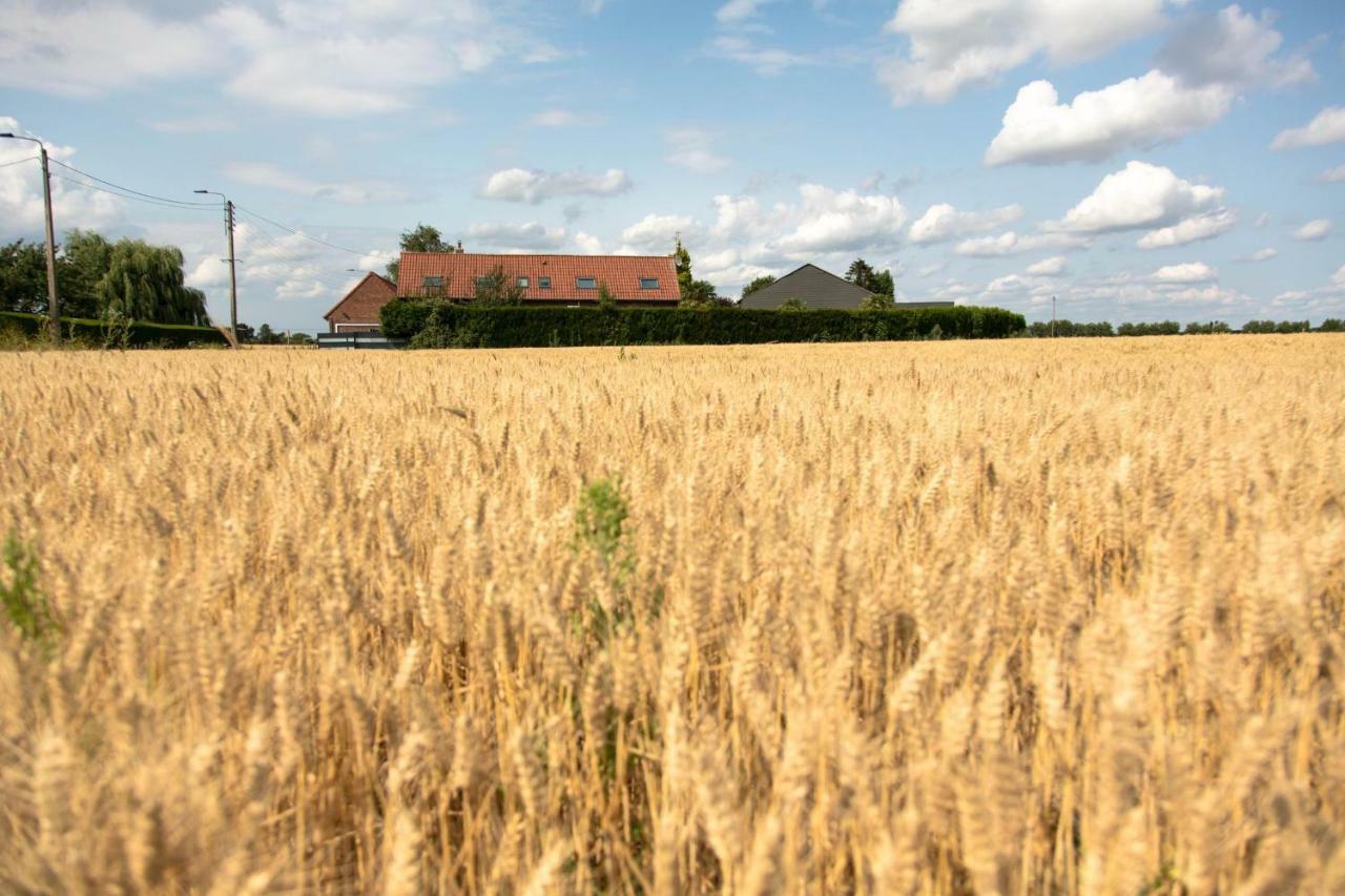 Gites De La Vesee La Chapelle d'Armentieres Dış mekan fotoğraf